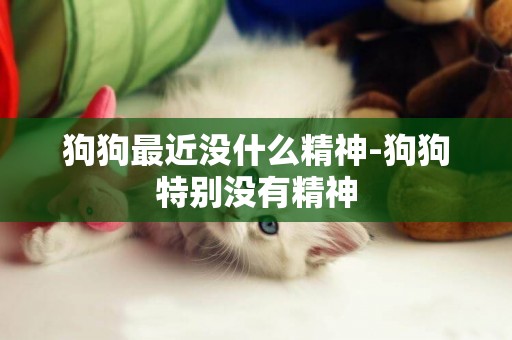 狗狗最近沒什么精神-狗狗特別沒有精神