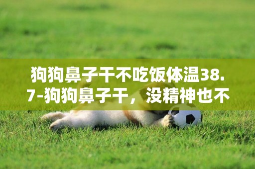 狗狗鼻子干不吃飯體溫38.7-狗狗鼻子干，沒精神也不吃飯怎么辦。