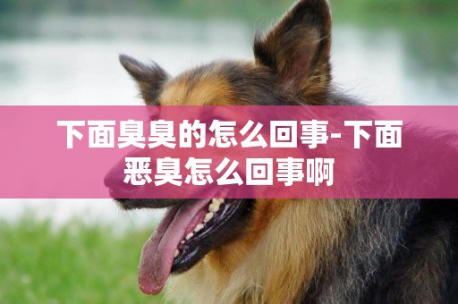下面臭臭的怎么回事-下面惡臭怎么回事啊