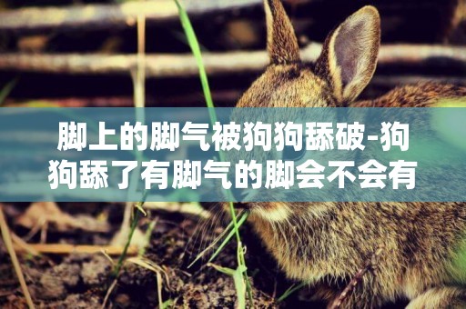腳上的腳氣被狗狗舔破-狗狗舔了有腳氣的腳會不會有事？