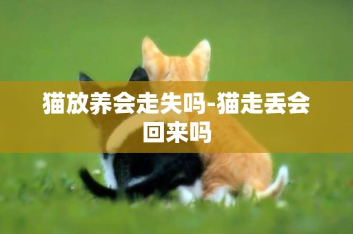 貓放養會走失嗎-貓走丟會回來嗎