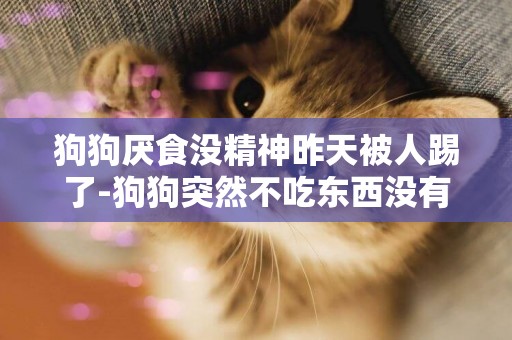 狗狗厭食沒精神昨天被人踢了-狗狗突然不吃東西沒有精神了