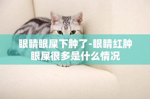 眼睛眼屎下腫了-眼睛紅腫眼屎很多是什么情況