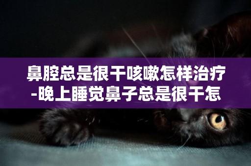 鼻腔總是很干咳嗽怎樣治療-晚上睡覺鼻子總是很干怎么辦