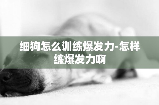 細狗怎么訓練爆發力-怎樣練爆發力啊