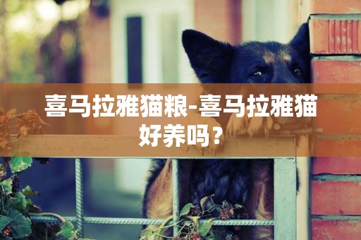 喜馬拉雅貓糧-喜馬拉雅貓好養嗎？