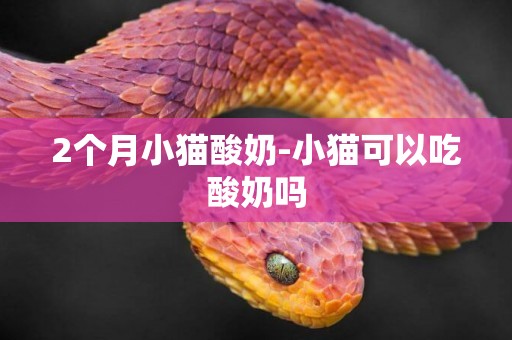 2個月小貓酸奶-小貓可以吃酸奶嗎
