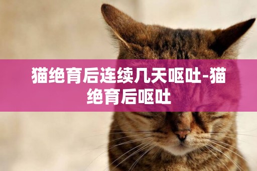 貓絕育后連續幾天嘔吐-貓絕育后嘔吐