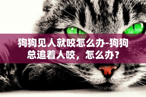 狗狗見人就咬怎么辦-狗狗總追著人咬，怎么辦？