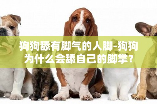 狗狗舔有腳氣的人腳-狗狗為什么會舔自己的腳掌？