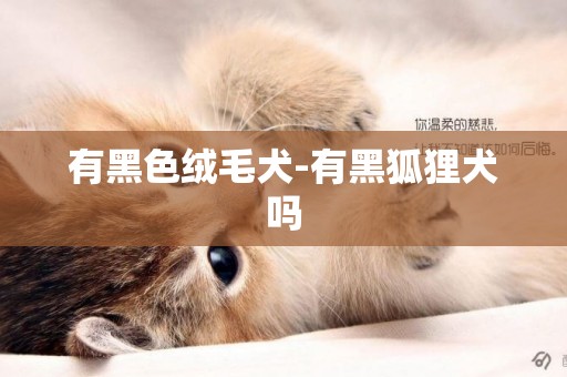 有黑色絨毛犬-有黑狐貍犬嗎