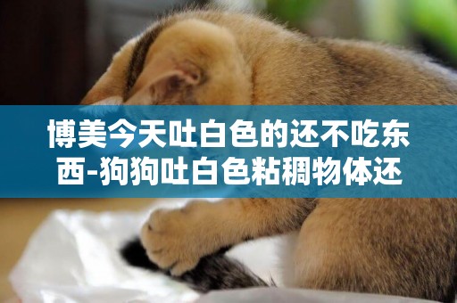 博美今天吐白色的還不吃東西-狗狗吐白色粘稠物體還不吃東西只喝水