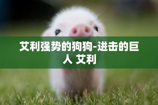 艾利強勢的狗狗-進擊的巨人 艾利