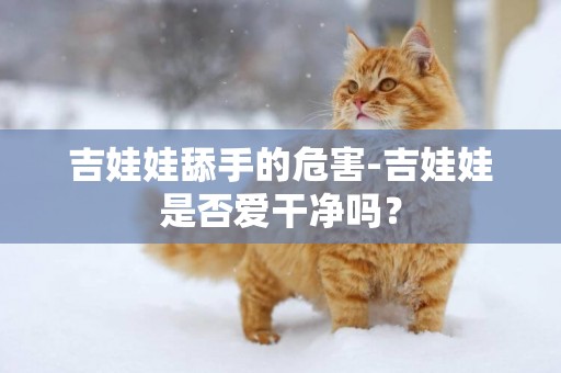 吉娃娃舔手的危害-吉娃娃是否愛干凈嗎？