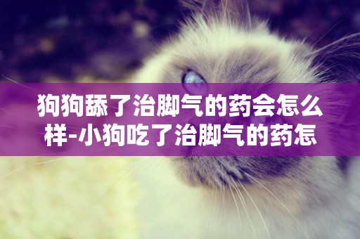 狗狗舔了治腳氣的藥會怎么樣-小狗吃了治腳氣的藥怎么辦