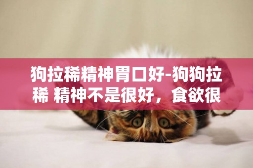 狗拉稀精神胃口好-狗狗拉稀 精神不是很好，食欲很好