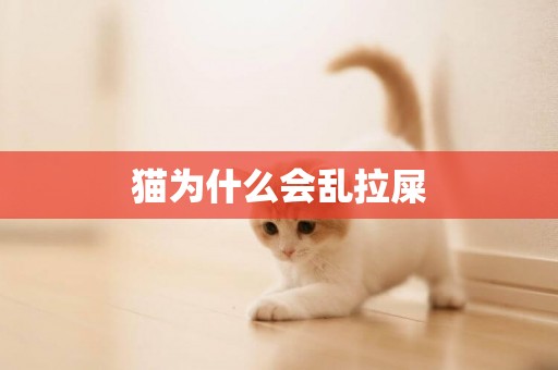 貓為什么會亂拉屎