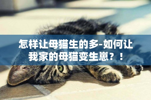 怎樣讓母貓生的多-如何讓我家的母貓變生崽？！