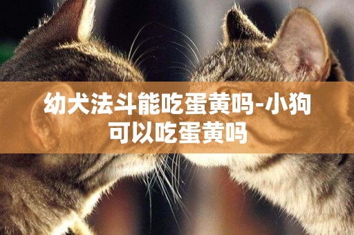 幼犬法斗能吃蛋黃嗎-小狗可以吃蛋黃嗎