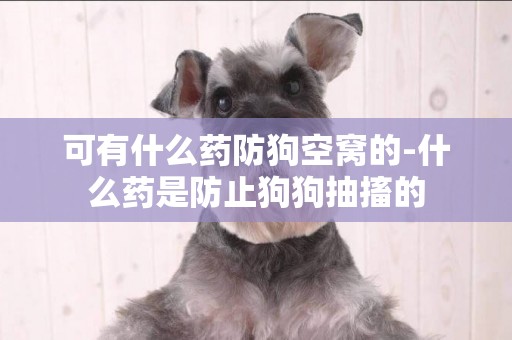 可有什么藥防狗空窩的-什么藥是防止狗狗抽搐的