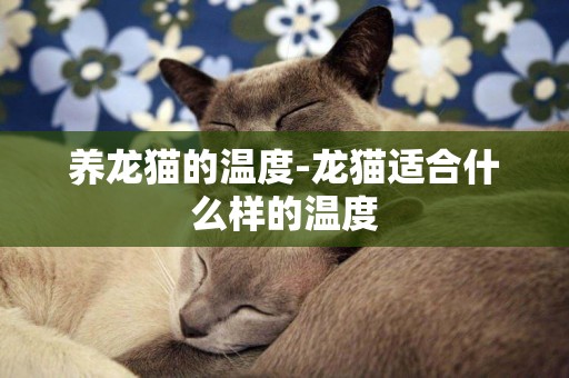 養龍貓的溫度-龍貓適合什么樣的溫度