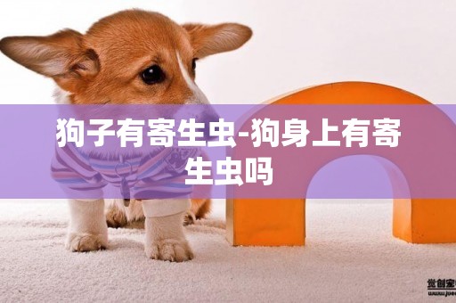 狗子有寄生蟲-狗身上有寄生蟲嗎