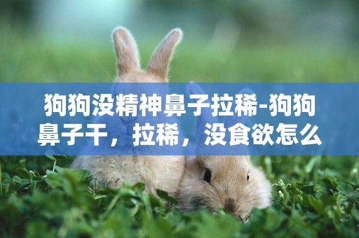 狗狗沒精神鼻子拉稀-狗狗鼻子干，拉稀，沒食欲怎么辦！？