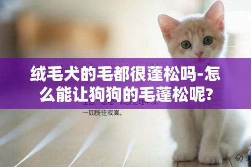 絨毛犬的毛都很蓬松嗎-怎么能讓狗狗的毛蓬松呢?