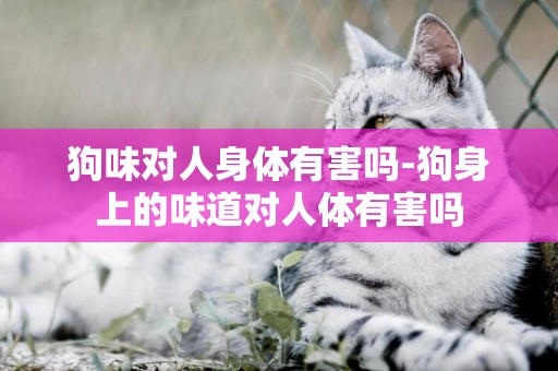狗味對人身體有害嗎-狗身上的味道對人體有害嗎