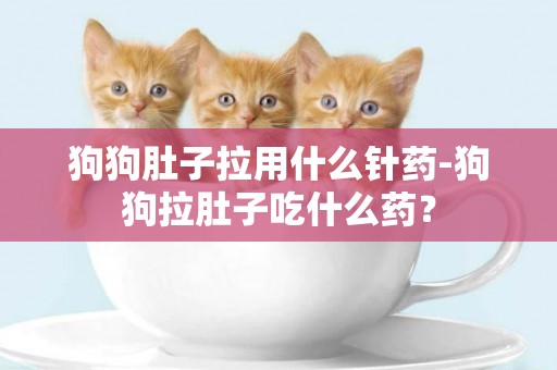 狗狗肚子拉用什么針藥-狗狗拉肚子吃什么藥？