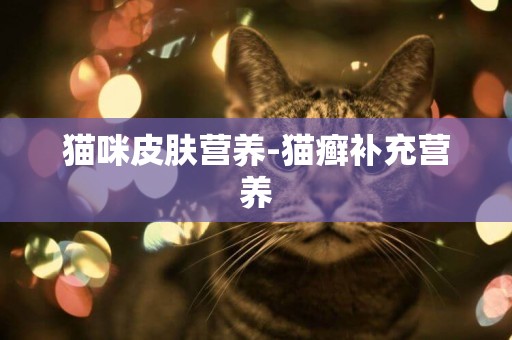 貓咪皮膚營養-貓癬補充營養