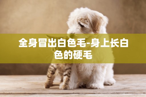全身冒出白色毛-身上長白色的硬毛