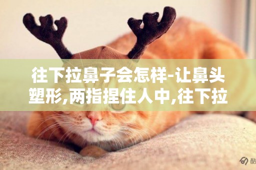 往下拉鼻子會怎樣-讓鼻頭塑形,兩指捏住人中,往下拉,逐漸鼻頭會縮小 這句話什么意思 能詳細點說明嗎