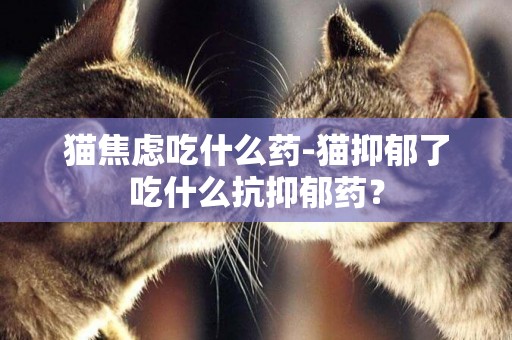 貓焦慮吃什么藥-貓抑郁了吃什么抗抑郁藥？