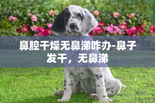 鼻腔干燥無鼻涕咋辦-鼻子發干，無鼻涕
