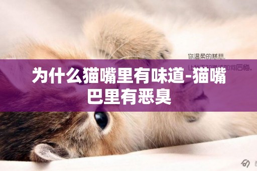 為什么貓嘴里有味道-貓嘴巴里有惡臭