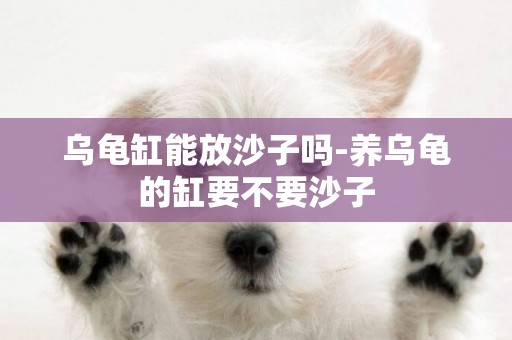 烏龜缸能放沙子嗎-養烏龜的缸要不要沙子