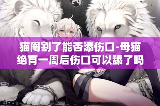 貓閹割了能否添傷口-母貓絕育一周后傷口可以舔了嗎