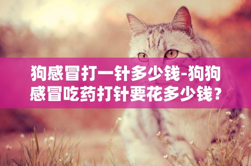 狗感冒打一針多少錢-狗狗感冒吃藥打針要花多少錢？