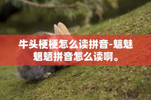 牛頭梗梗怎么讀拼音-魑魅魍魎拼音怎么讀啊。
