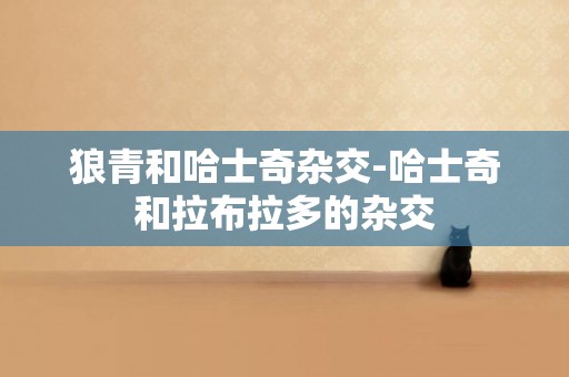 狼青和哈士奇雜交-哈士奇和拉布拉多的雜交