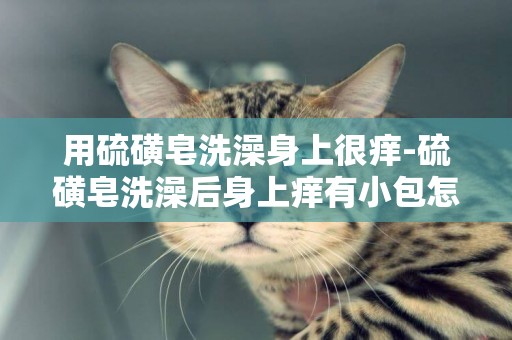 用硫磺皂洗澡身上很癢-硫磺皂洗澡后身上癢有小包怎么辦