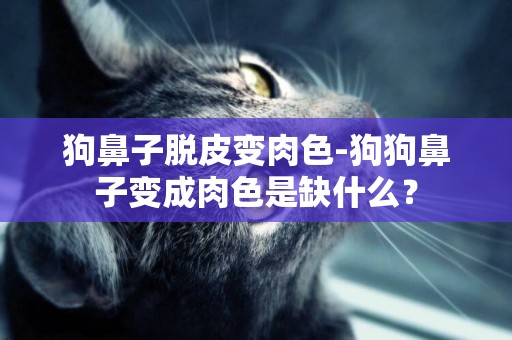 狗鼻子脫皮變肉色-狗狗鼻子變成肉色是缺什么？