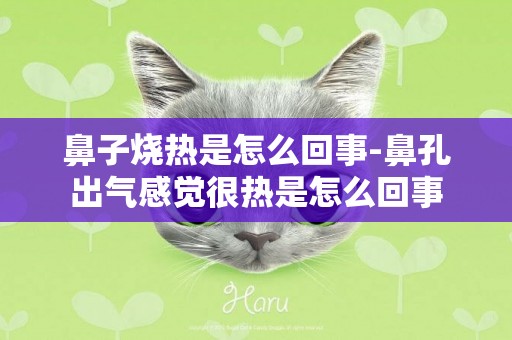 鼻子燒熱是怎么回事-鼻孔出氣感覺很熱是怎么回事