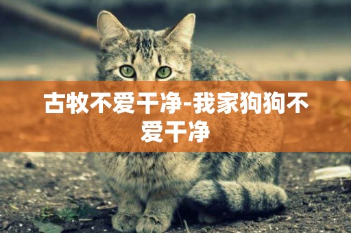 古牧不愛干凈-我家狗狗不愛干凈