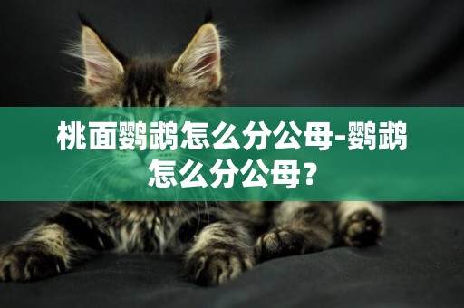 桃面鸚鵡怎么分公母-鸚鵡怎么分公母？