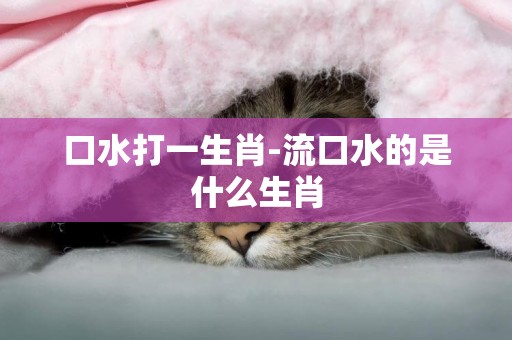 口水打一生肖-流口水的是什么生肖