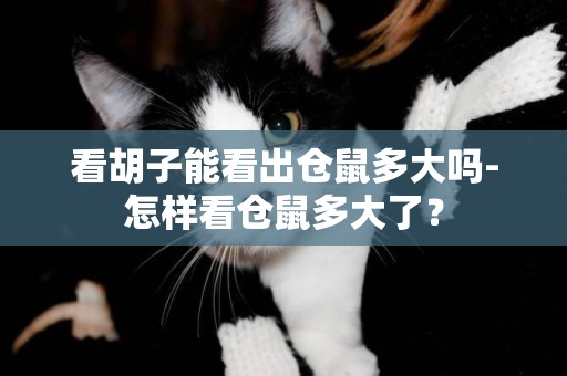 看胡子能看出倉鼠多大嗎-怎樣看倉鼠多大了？
