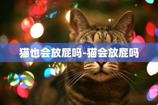 貓也會放屁嗎-貓會放屁嗎