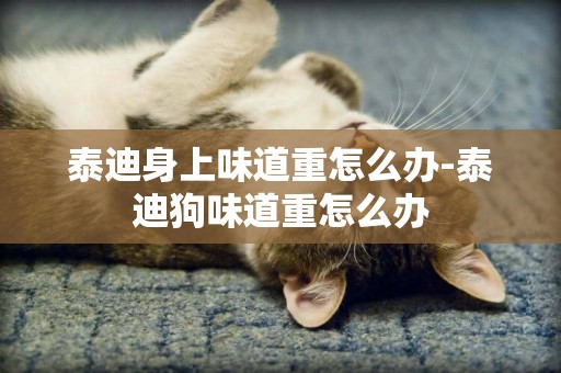 泰迪身上味道重怎么辦-泰迪狗味道重怎么辦